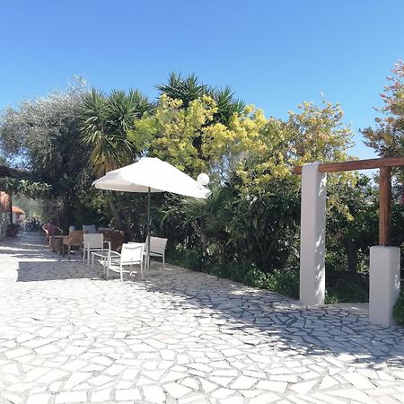 Borgo Degli Ulivi Rooms Vieste Ngoại thất bức ảnh